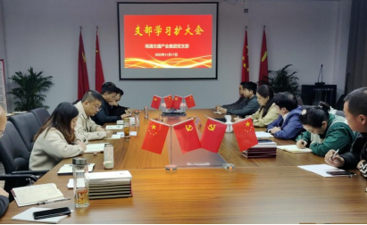 天博体育在线登录官网入口巡学旁听组对产业集团党支部学习开展巡学指导